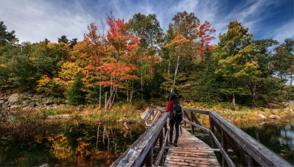 Fall foliage in Arkansas: Leaf peeping in Eureka Springs