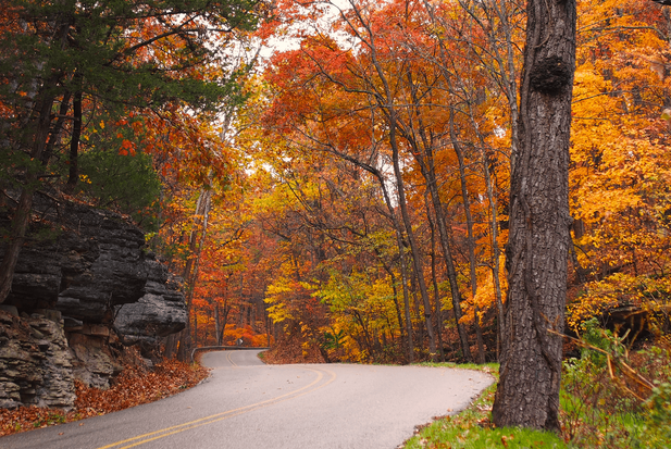 Arkansas Fall Foilage