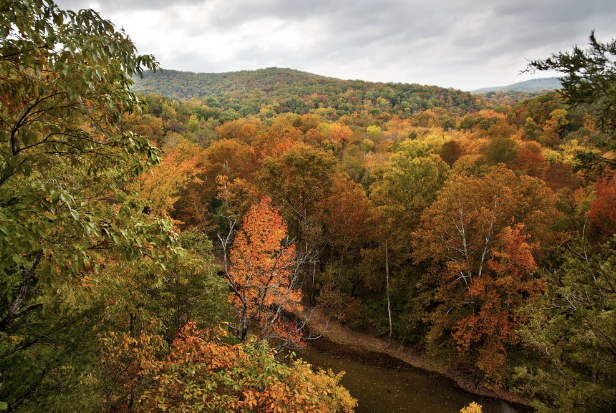 Fall foliage in the Ozark Mountains