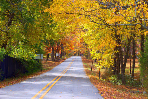 Highway through a wooded area with fall colors.
