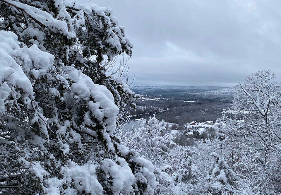 Winter view from Can U Canoe Cabins. The trees are covered with snow in anticipation of a magical Christmas season in Eureka Springs, Arkansas.